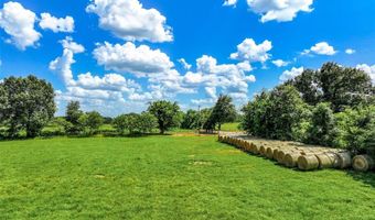 500 W Lot 1 Rs County Road 2370, Alba, TX 75410