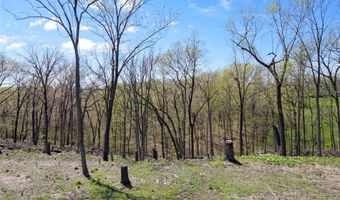 0 Iron Mountain Bluff-Wicks, Arnold, MO 63010
