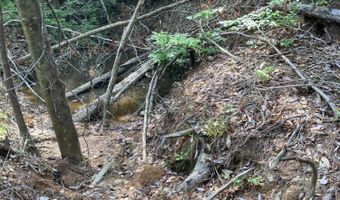 40 Acres Forestry Road 356, Beaumont, MS 39423