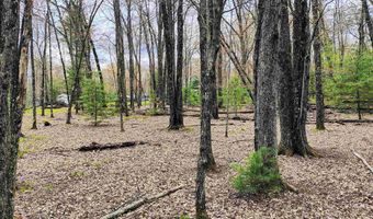 1120 Bighorn Dr, Arkdale, WI 54613