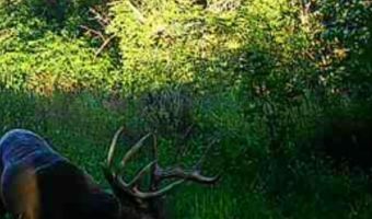 Lot 4 Prairie View Road, Argyle, WI 53504