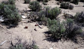 unspecified, Gerlach, NV 89412