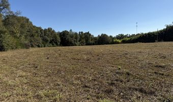 005 G Wallace Buie Rd, Ashford, AL 36376