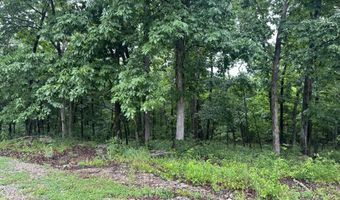 18611 Farm Road 2107, Aurora, MO 65605
