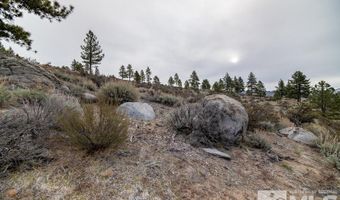 7301 Granite Ridge Rd, Washoe Valley, NV 89704