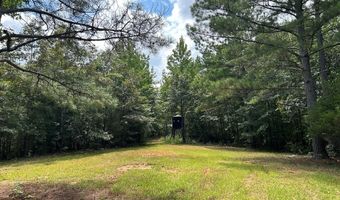 Pleasant Hill Road, Ashland, MS 38603