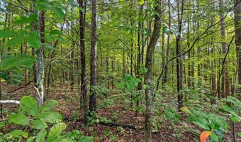 12706 Cranfield Rd, Birchwood, TN 37308