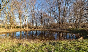 W Farm Rd 64, Ash Grove, MO 65604