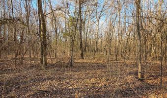 Farris Rd, Atoka, OK 74525