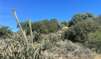 33 Sweetbush, Anza, CA 92539