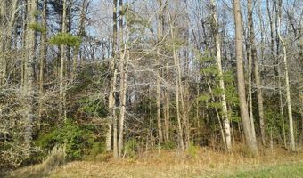 Lot # 38 Morristown Road, Bracey, VA 23919