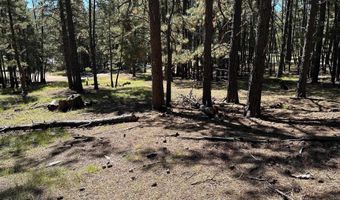 Lot 7 Blk D St Andrews Way, Angel Fire, NM 87710