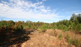 RIDGE RD lot 1, Arvonia, VA 23004