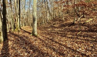 1520 Brittontown Rd, Afton, TN 37616