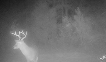 001 Farr Rd, Bolton, MS 39041