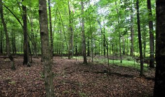 000 AVE 5 SW St, Atkins, AR 72823