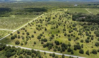 SW HULL AVENUE, Arcadia, FL 34269