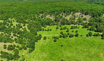 210 County Road 320, Alton, MO 65606