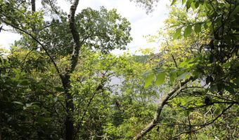 203 Saluda Bluff Rd, Batesburg Leesville, SC 29006