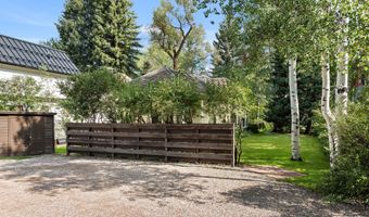 123 E Hallam St, Aspen, CO 81611