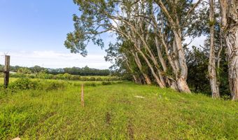 29-613 CHIN CHUCK Rd, Hakalau, HI 96710