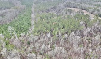 21000 Block Hwy 21, Beatrice, AL 36425