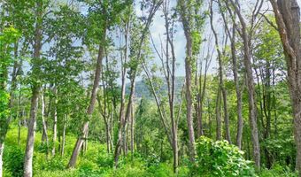 Tbd Banner Glade Trail, Banner Elk, NC 28604