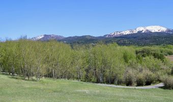 350 W TETON HIDEAWAY Dr, Alta, WY 83414