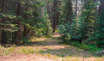 40 Ranch Cir, Cascade, ID 83611