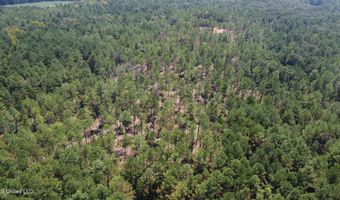1 Champion Hill Rd, Bolton, MS 39041