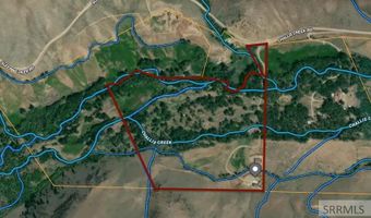 9885 Challis Creek Rd, Challis, ID 83226
