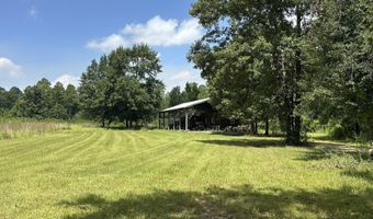 6389 County Line Rd B, Baker, FL 32531