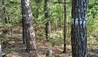 776 N Springs Rd, Blackstock, SC 29014