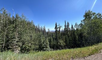 W Hunter Ridge Dr, Brian Head, UT 84719