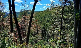 0 Mount Horeb Rd, Amherst, VA 24521