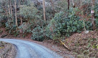 6 83ac Webb Creek Rd, Andrews, NC 28901