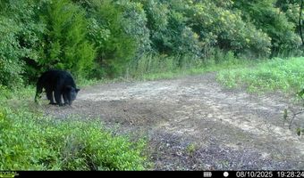 9891 Baskerville Rd, Baskerville, VA 23915