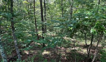 Lot 24 MT SNOW COURT, Basye, VA 22810