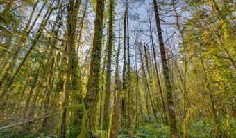 64281 E BRIGHTWOOD LOOP Rd, Brightwood, OR 97011