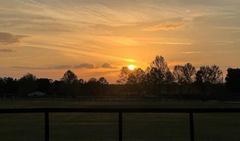 2120 15th Way, Bell, FL 32619