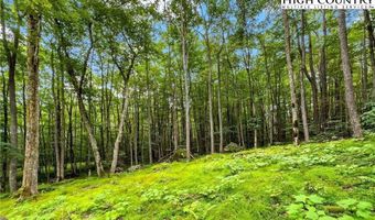 Es-97 Twisted Oak Path, Banner Elk, NC 28604