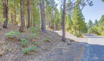 1694 Shoshone Dr, Camp Connell, CA 95223