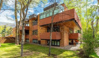 400 W Hopkins Ave 5, Aspen, CO 81611