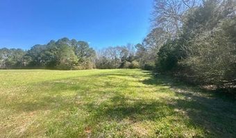 0 Tervin Mill Rd, Andalusia, AL 36421