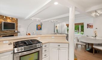 960 E Durant Ave 6, Aspen, CO 81611