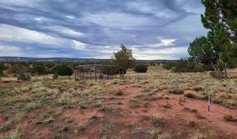 40 County Road 5309, Concho, AZ 85924