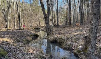 MOUNTAIN CUT RD lot D, Appomattox, VA 24522