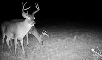 22 Hwy, Adamsville, TN 38310