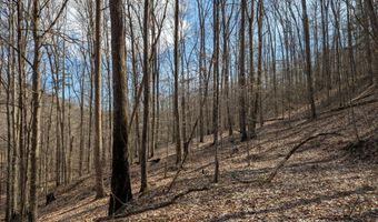 9999 Tip Top Rd, Beattyville, KY 41311