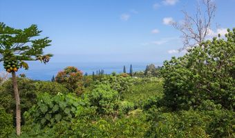 78-1134 Bishop Rd, Holualoa, HI 96725
